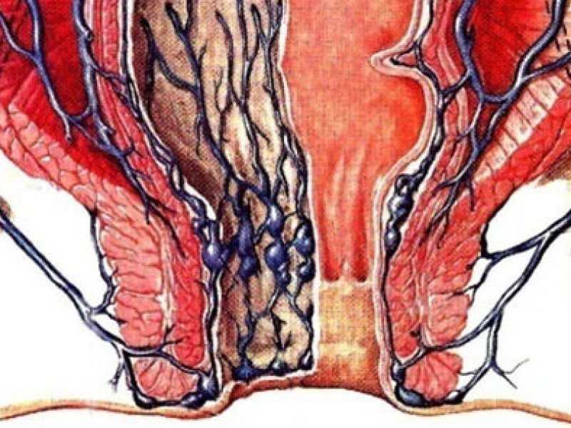 Anatomia del canale anorettale