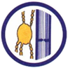 Società Italiana di Flebolinfologia – SIFL